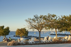 031_20190201_ASW_Bunbury-Dolphin-Discovery-Centre-Beach-Chair-2