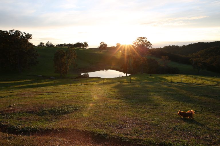 Trip Inspiration Ferguson Valley